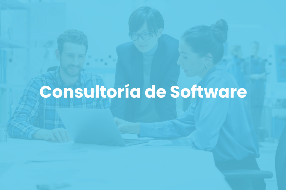 consultoria_de_software2